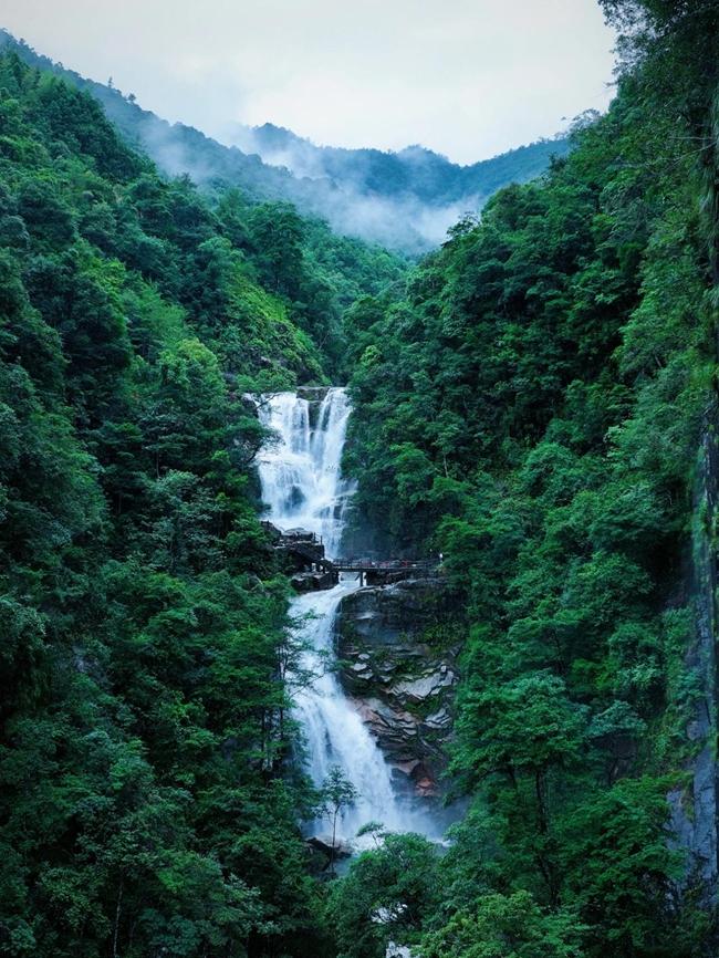 “全域好水”解锁夏日“亲水凉方” 武夷山以山水为媒描绘文旅新图景