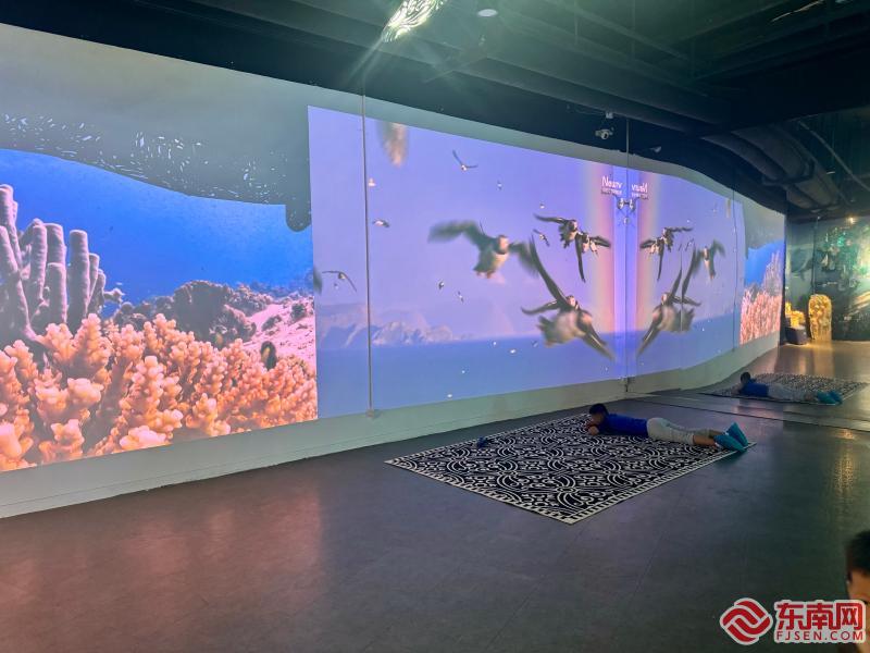 莆田首现国风深海VR体验展 开启沉浸式奇幻之旅