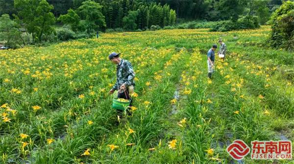 共同富裕丨三明三元：乡村生态旅游绽放新光彩