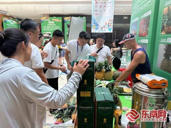 “滨海浪漫”+“消费活力” 泉州丰泽暑期文旅消费季启幕