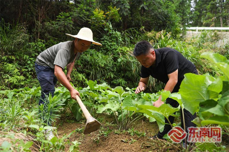 三明宁化：畲药“点亮”畲乡文旅经济