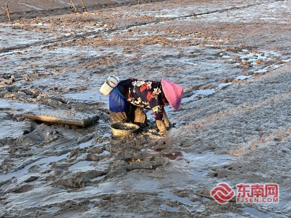 涨为岛落成陆 莆田草屿岛的双重奇观