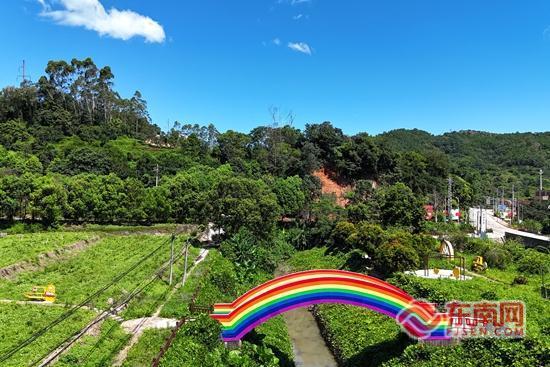 茶香引客来 诏安建设乡茶旅融合绘就新图景