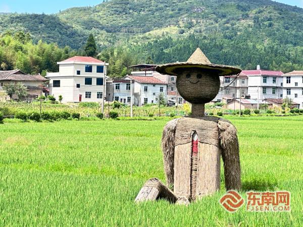 莆田仙游钟山镇双村联动：南兴田园画卷与梅洋民宿风情邀您共赏