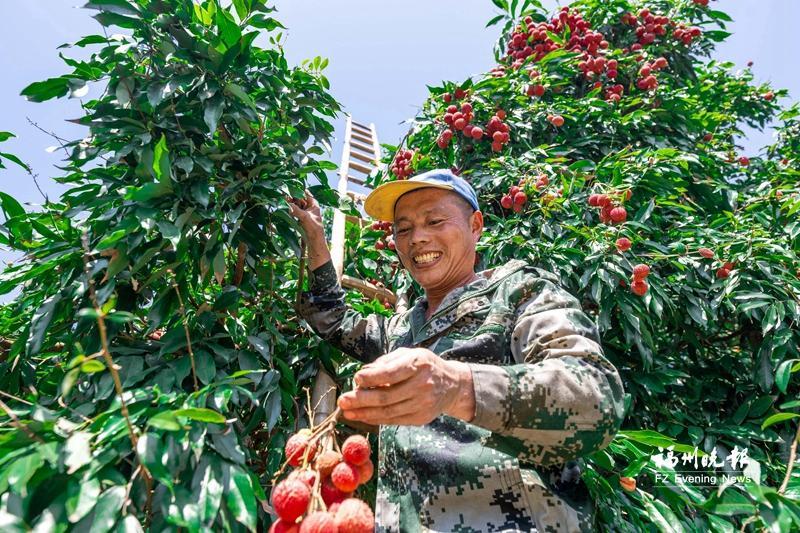 福州闽侯上洲村：打造四季文旅目的地