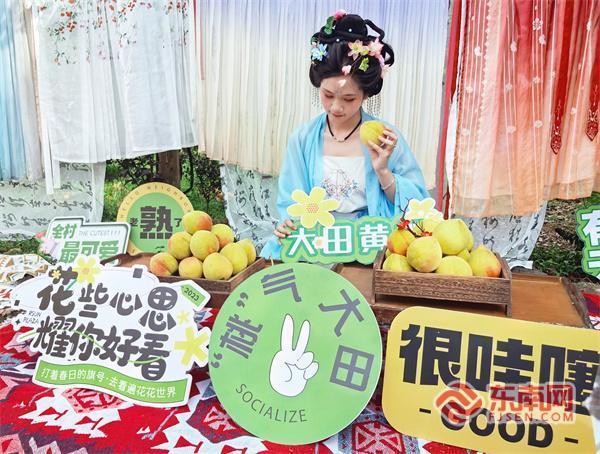 三明泰宁：桃林飘古韵 文旅融出“新桃路”