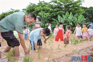 客如潮！乡村解锁“流量密码” 厦门促进农文旅深度融合