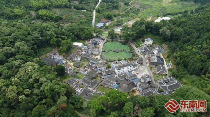 宁德霞浦涌山村：激活“沉睡”资源 解锁生态富民新路径