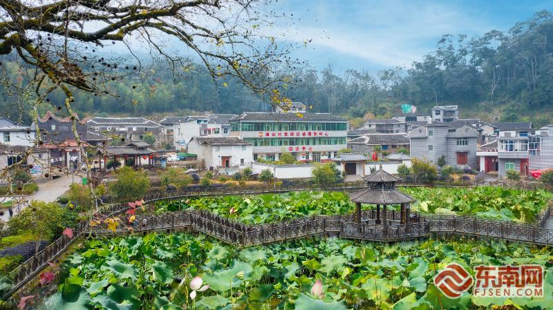 宁德霞浦涌山村：激活“沉睡”资源 解锁生态富民新路径