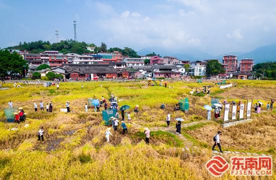 田野趣玩遇非遗盛宴 永春国庆假日文旅活动精彩纷呈