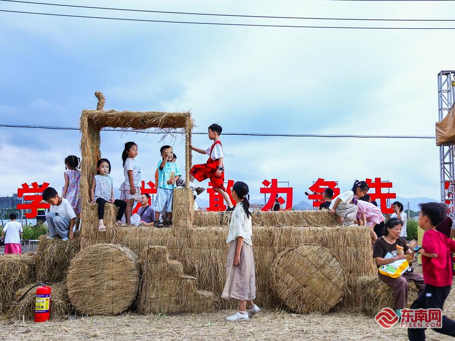 首日超10万人次打卡！惠安走马埭稻田艺术季焕新回归