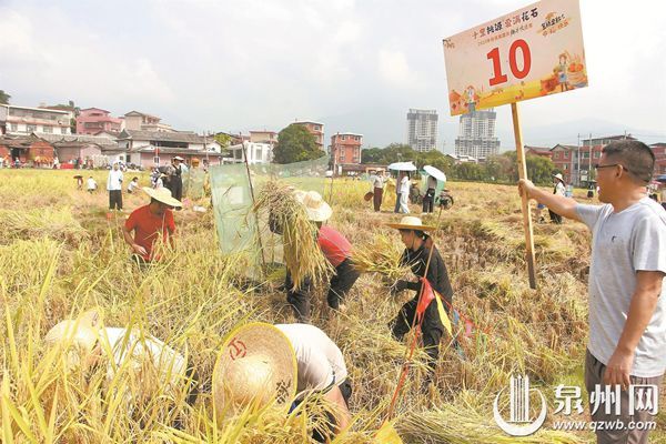 国庆中秋黄金周 央媒频频聚焦泉州——世遗烟火与文化活力共燃假日