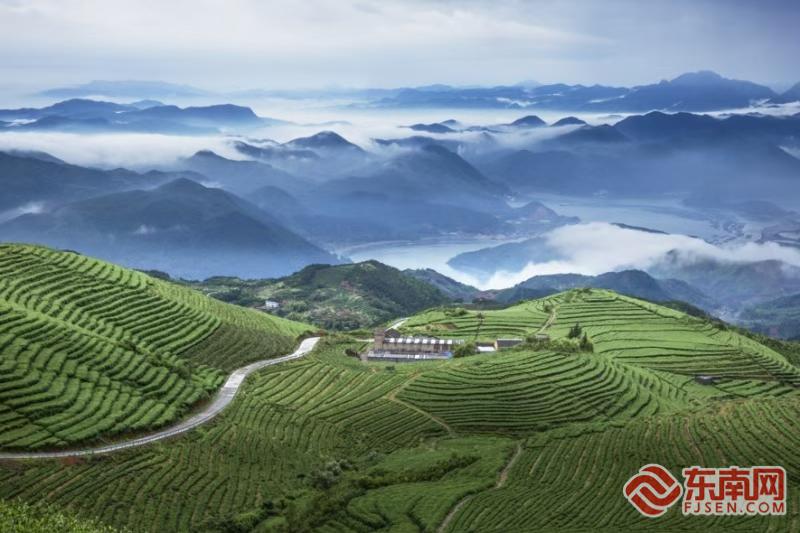 红柿映山海 宁德全域旅游四季皆景