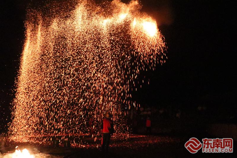 红柿映山海 宁德全域旅游四季皆景