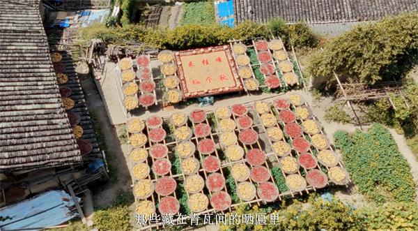 “青年带你游三明”短视频大赛圆满收官