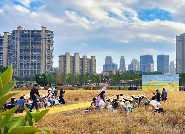 田洋九九马蹄丰收季启幕 农文体旅融合绘就乡村振兴新图景