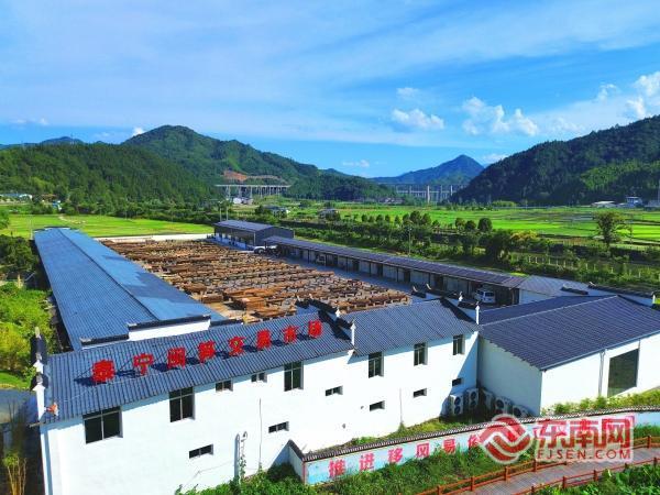 三明泰宁：丹霞绘卷启新程 砥砺奋进谱华章