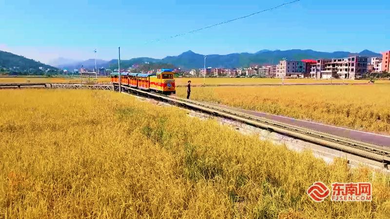 “镇”能量丨泉州南安溪美街道：潮创田园“玩”转农文旅