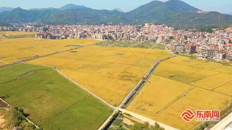 “镇”能量丨泉州南安溪美街道：潮创田园“玩”转农文旅