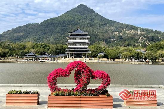 冬日里的花团锦簇 漳州云霄将军山景区有“花招”