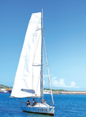 岚岛烟花邀您共赴新年之约