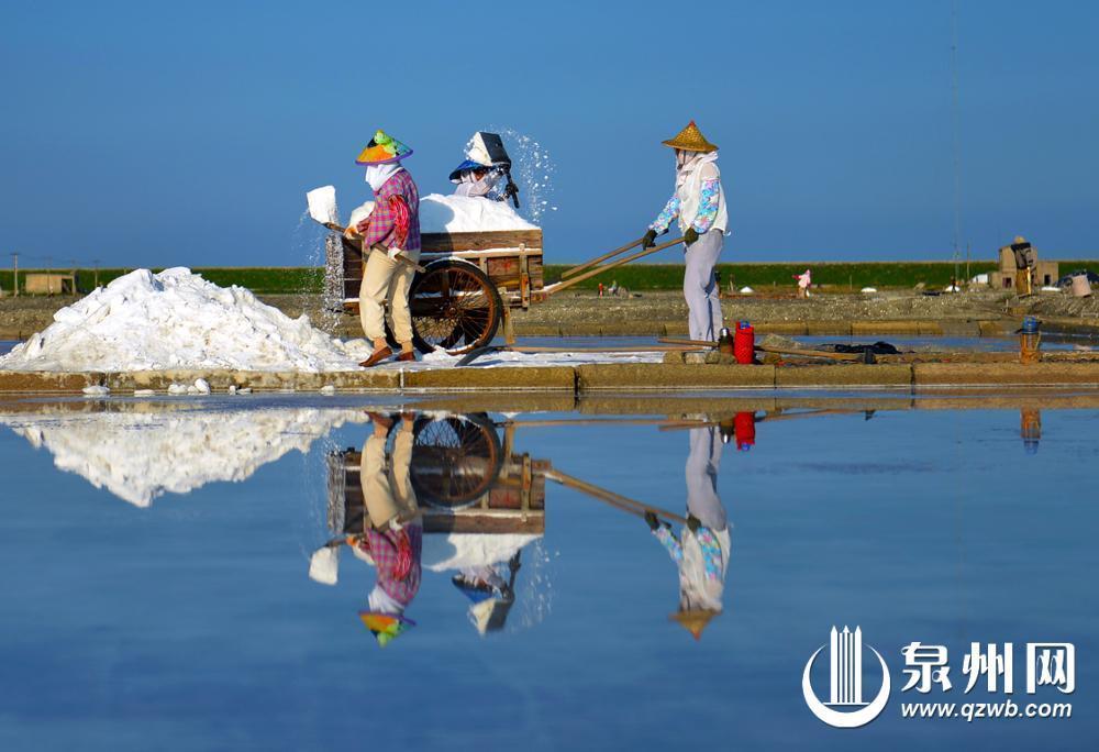 冬景缤纷似春华 来泉州赏南国冬韵图