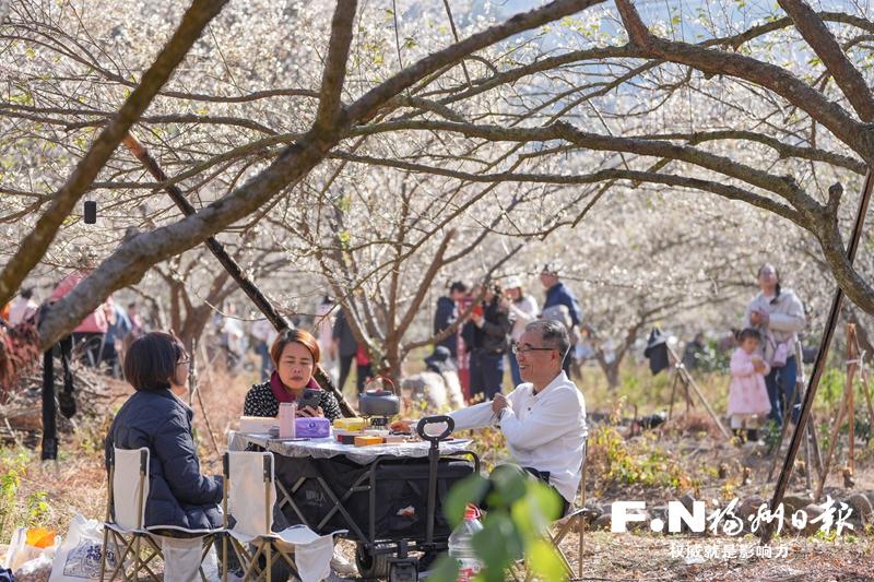 福州永泰第12届梅花季开幕 “香雪海”引来游客如织