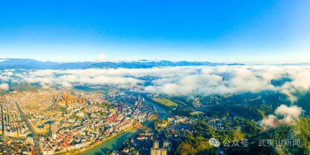 武夷山：锚定茶旅特色产业 打造“武宜商”营商环境品牌