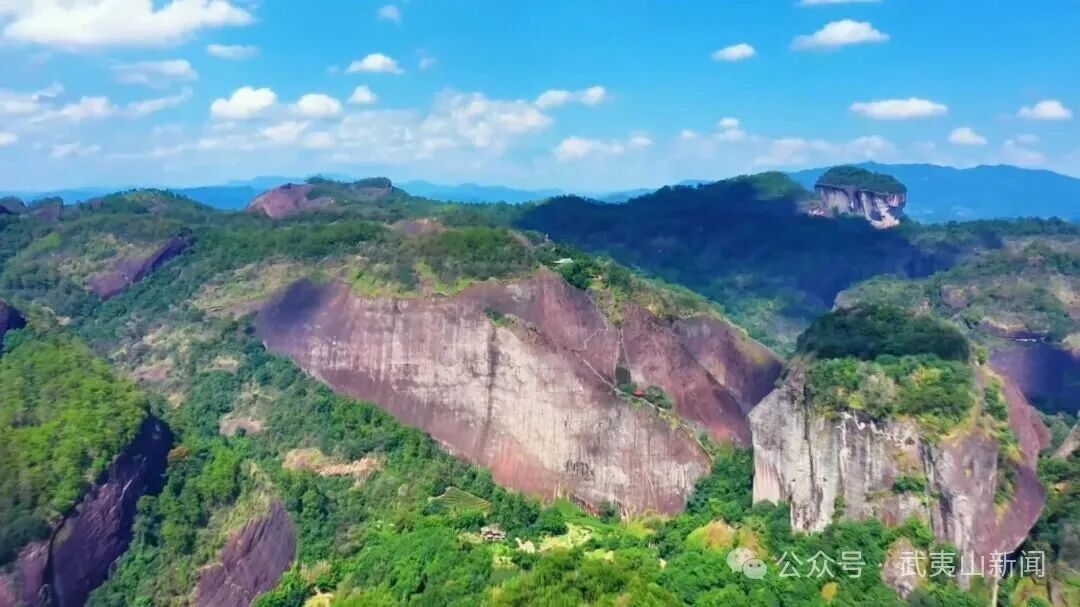 武夷山：锚定茶旅特色产业 打造“武宜商”营商环境品牌