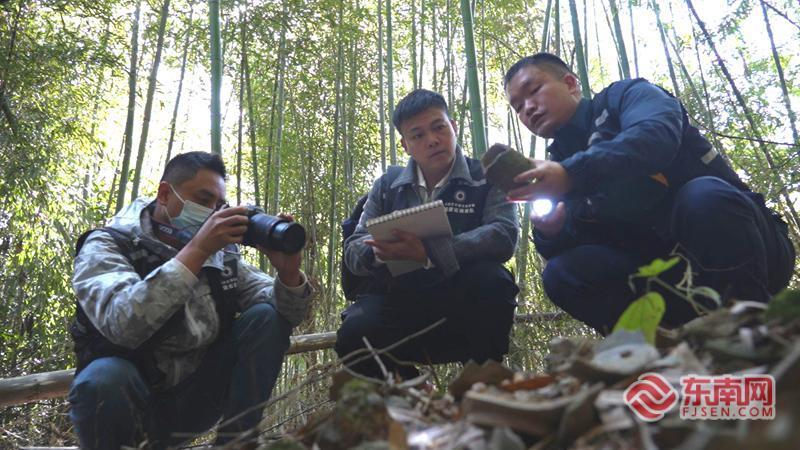 我的这五年丨一个农民的“文保”日常：让千年文脉在乡土扎根