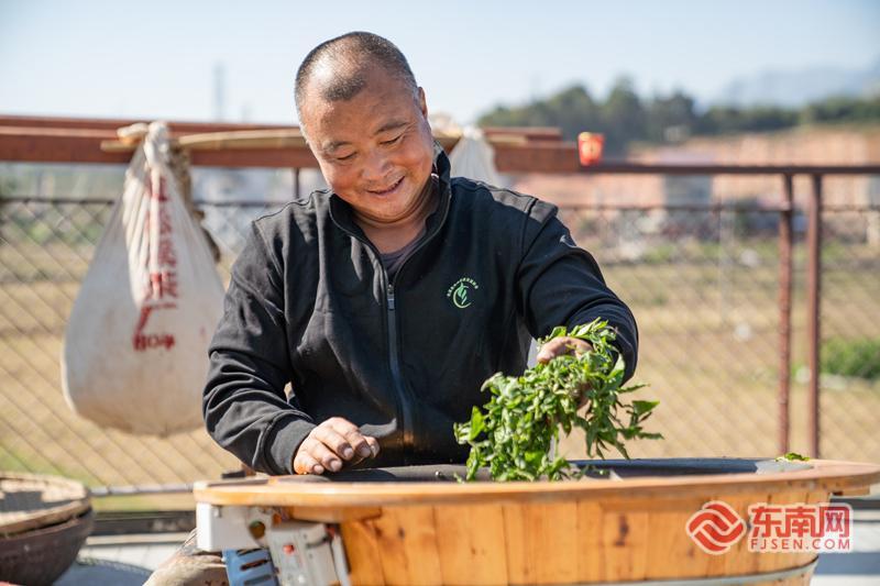 我的这五年丨一个农民的“文保”日常：让千年文脉在乡土扎根