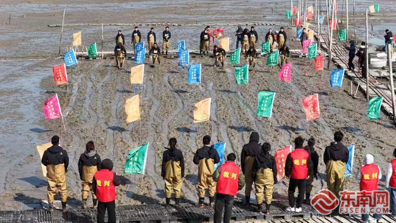新春走基层丨宁德霞浦：滩涂上的“赛马” 激活新春文旅活力