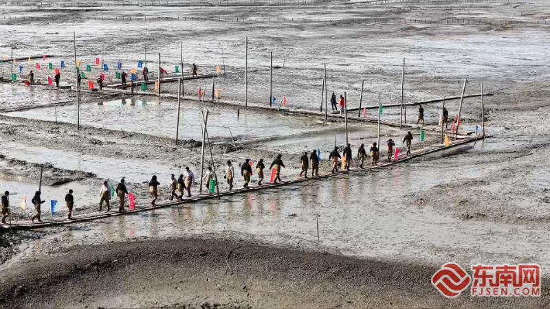 新春走基层丨宁德霞浦：滩涂上的“赛马” 激活新春文旅活力