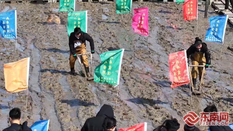 新春走基层丨宁德霞浦：滩涂上的“赛马” 激活新春文旅活力