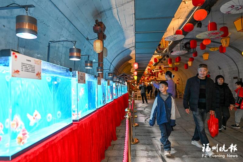 福州乌山防空洞免费开启新春奇旅