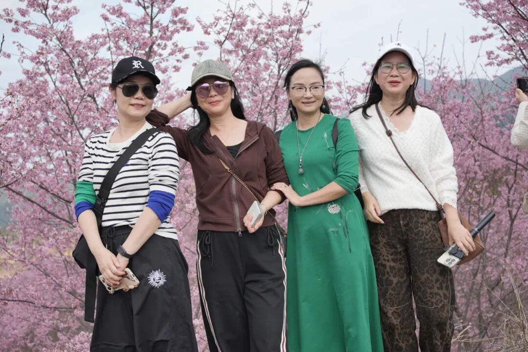 春节假期 三明清流各大景区喜迎 “开门红” 人气持续爆棚