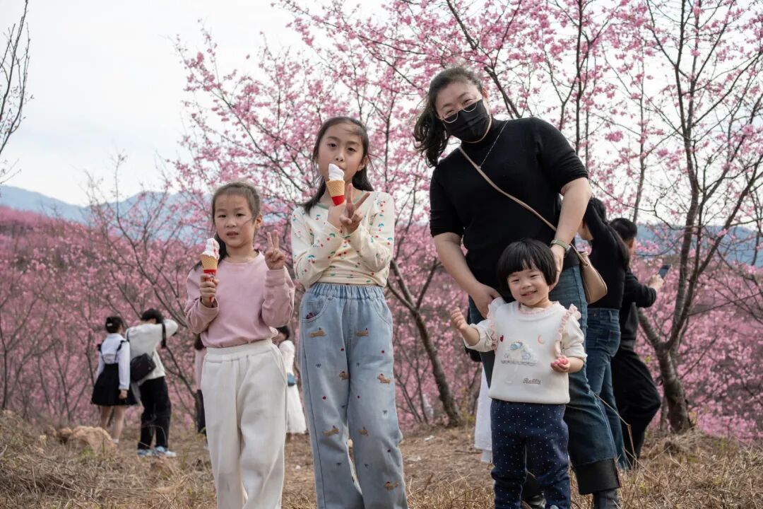 春节假期 三明清流各大景区喜迎 “开门红” 人气持续爆棚