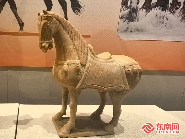 中国闽台缘博物馆双展联动 福马迎春共叙闽台亲情