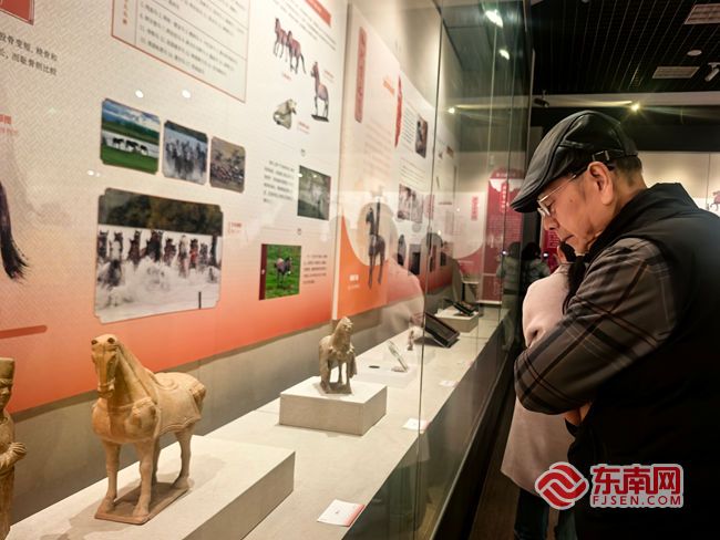 中国闽台缘博物馆双展联动 福马迎春共叙闽台亲情