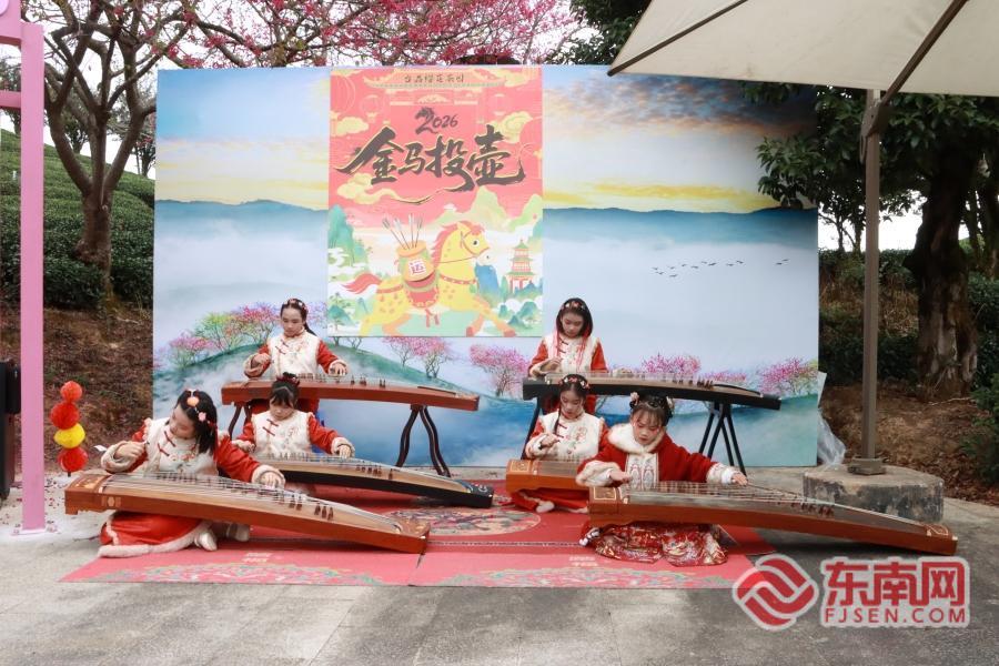 龙岩漳平市第十五届樱花文化旅游节启幕