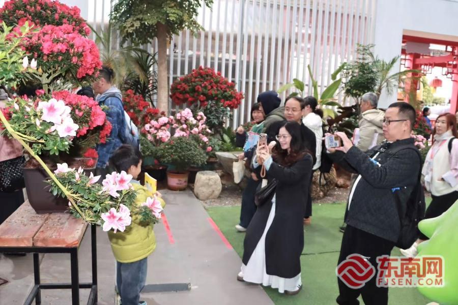龙岩漳平市第十五届樱花文化旅游节启幕
