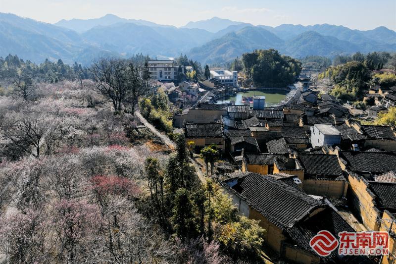 “福聚宁德 一路生花”主题推广活动启幕 解锁春日文旅新体验