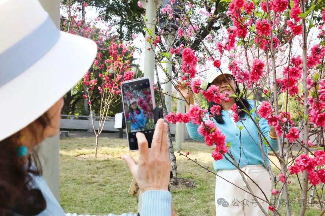 福州罗星塔公园桃花开了，春日打卡冲鸭！
