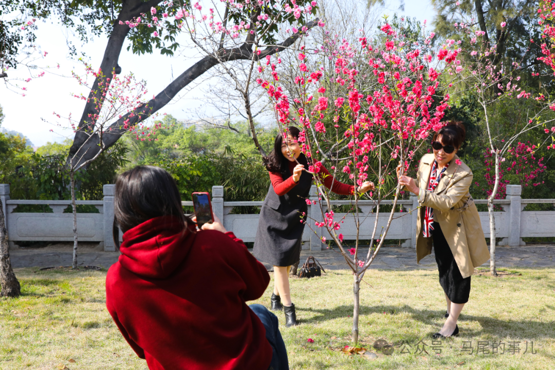 福州罗星塔公园桃花开了，春日打卡冲鸭！
