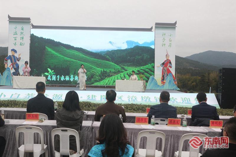 “三白”论道·寻根“六祖”—建阳白茶文化探源之旅活动举行