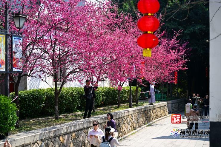 全国第二！福州跻身同程旅行2026春游胜地甄选榜单