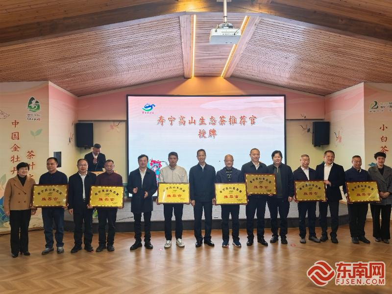 春茶飘香振兴路 寿宁高山生态茶“三茶融合”推介活动举行