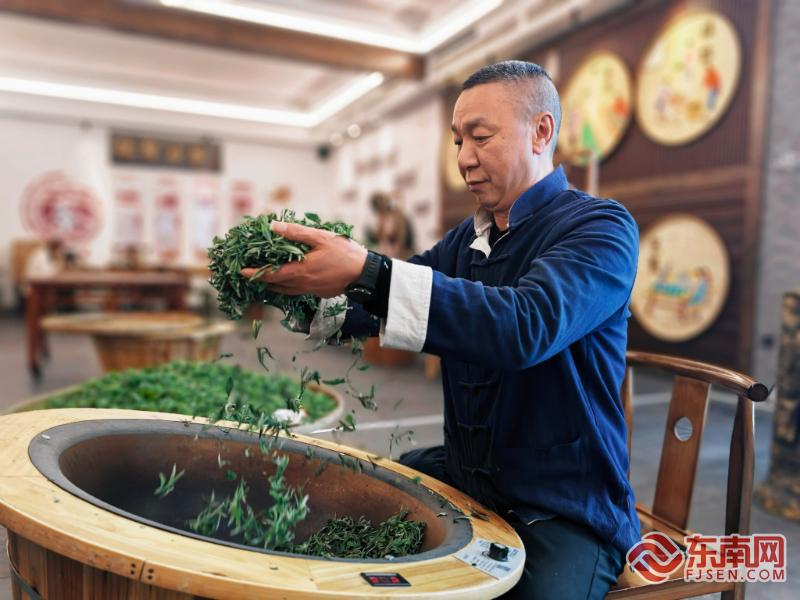 春茶飘香振兴路 寿宁高山生态茶“三茶融合”推介活动举行