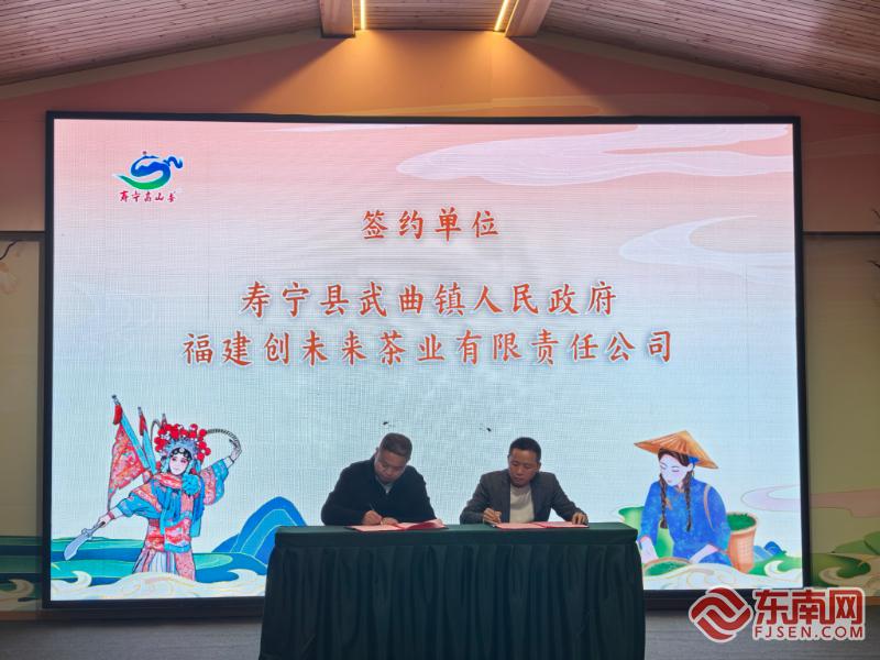 春茶飘香振兴路 寿宁高山生态茶“三茶融合”推介活动举行
