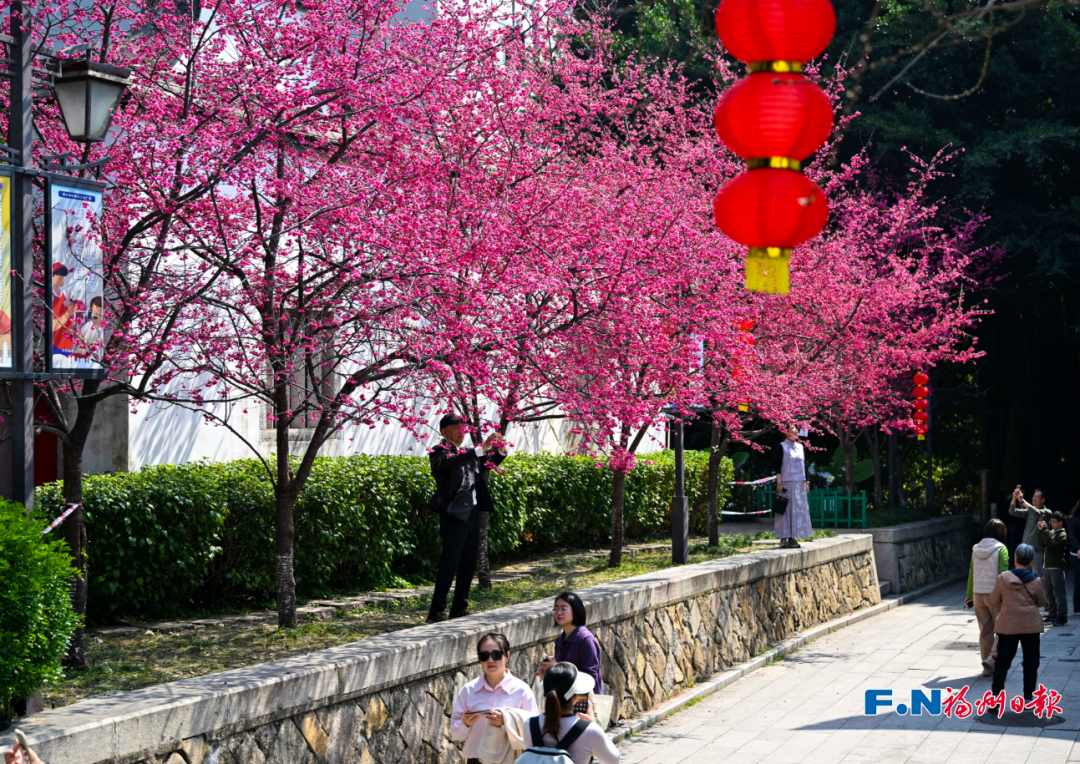 假期最后一天，榕城文旅经济红红火火！